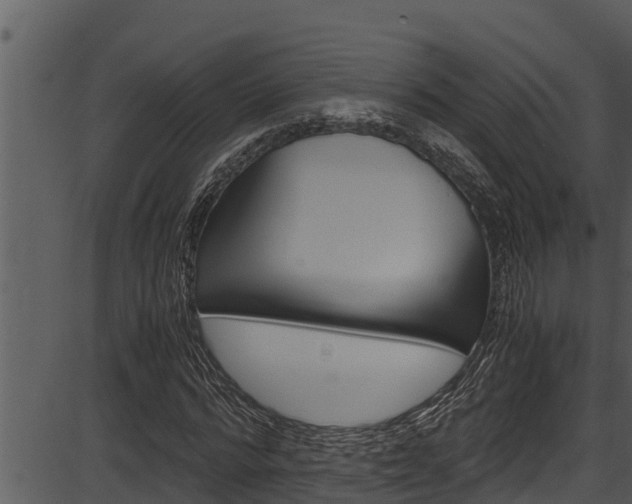 X0000087520776200704270818