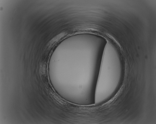 X0000087520777200704270818