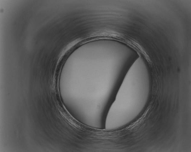 X0000087520780200704270818