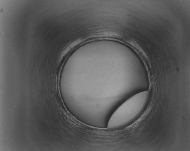 X0000087520781200704270818