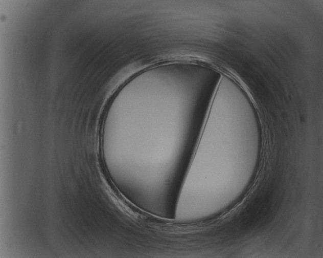 X0000087520795200704270817