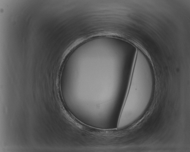X0000087520797200704270817