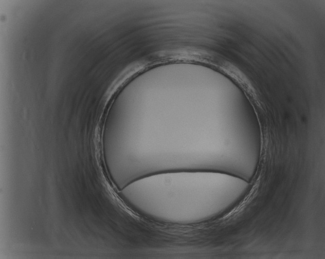 X0000087520798200704270817