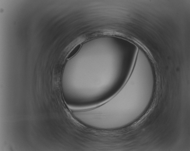 X0000087520801200704270817