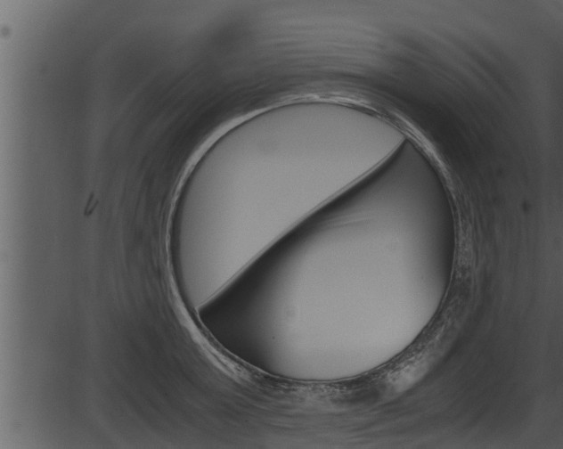 X0000087520803200704270817