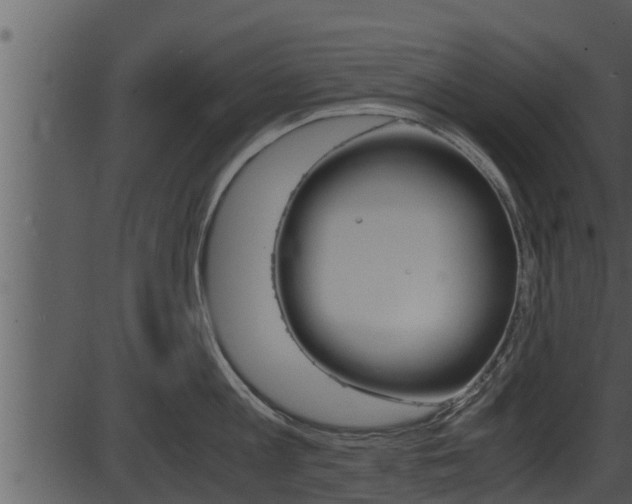 X0000087520813200704270817