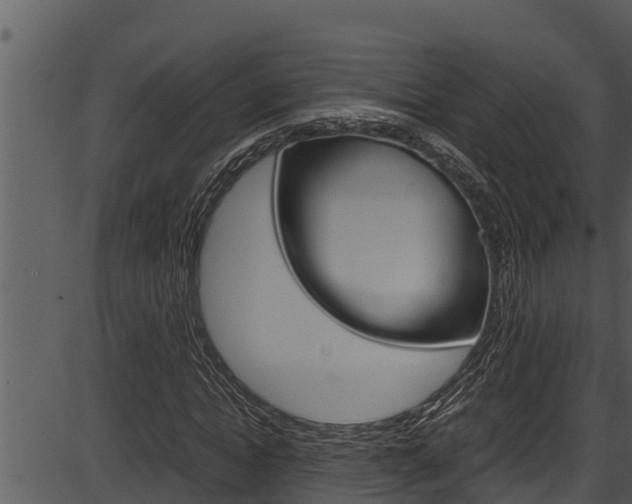 X0000087520822200704270816