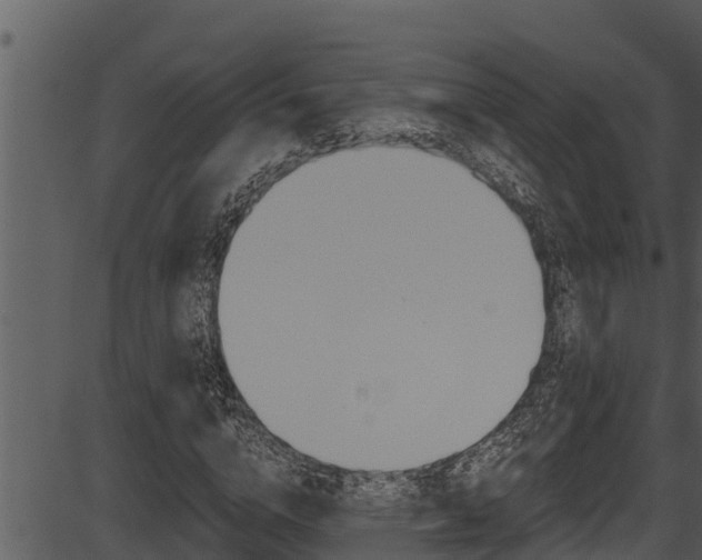 X0000087520824200704270816