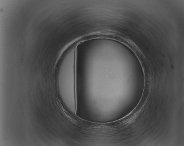 X0000087520830200704270817