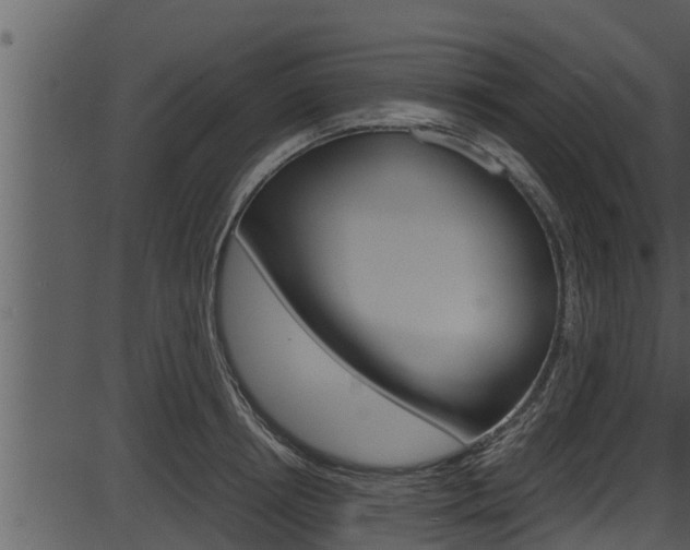 X0000087520850200704270817