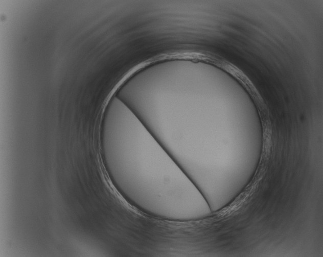 X0000087520852200704270817