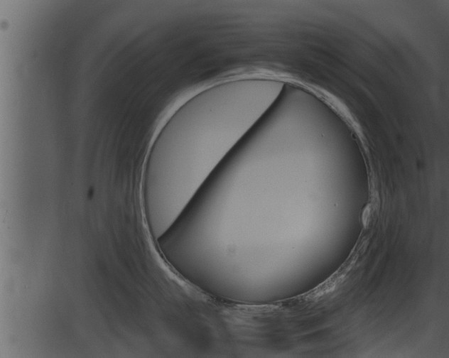 X0000087520863200704270817