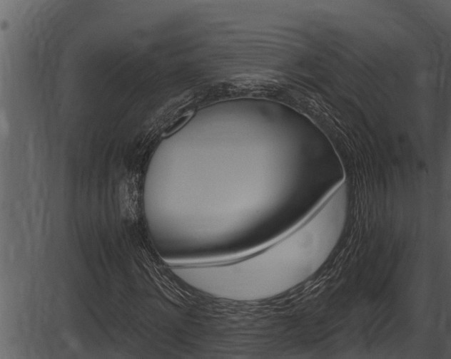 X0000087520868200704270816