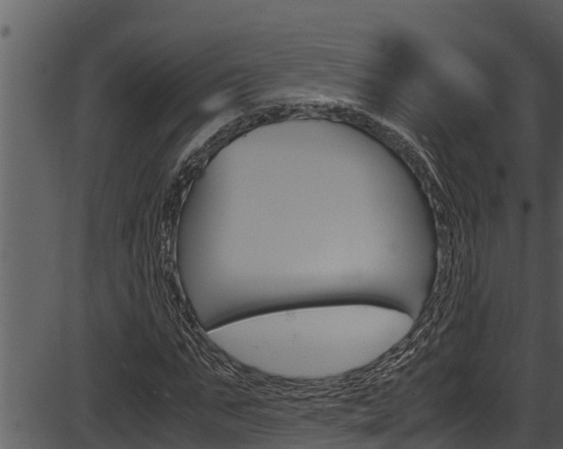 X0000087520871200704270816