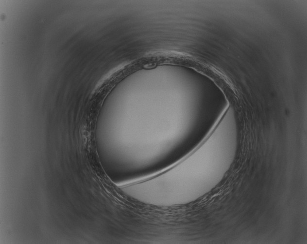 X0000087520872200704270816