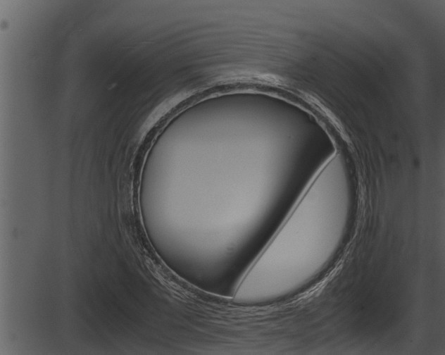 X0000087520877200704270816