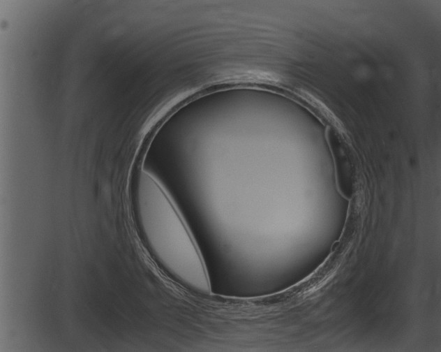 X0000087520885200704270816