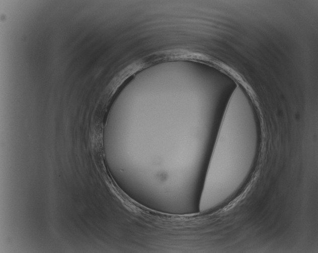 X0000087520897200704270816