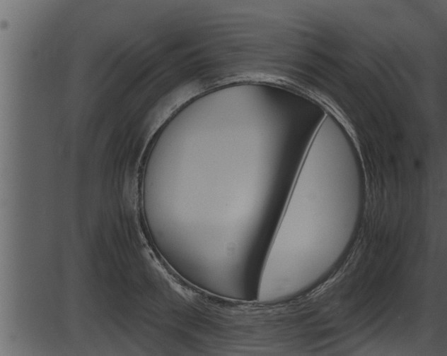 X0000087520898200704270816