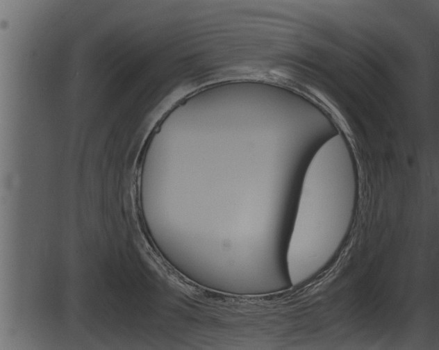 X0000087520899200704270816