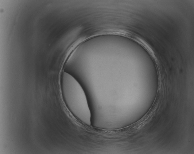 X0000087520907200704270816
