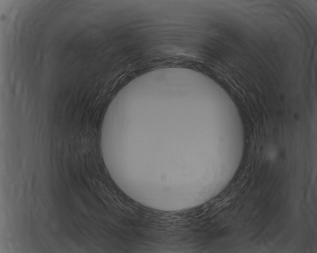 X0000087520916200704270815