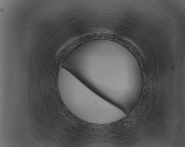 X0000087520919200704270815