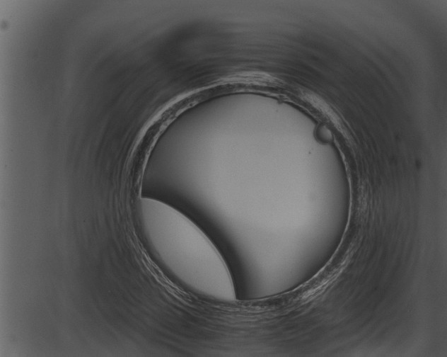 X0000087520923200704270815