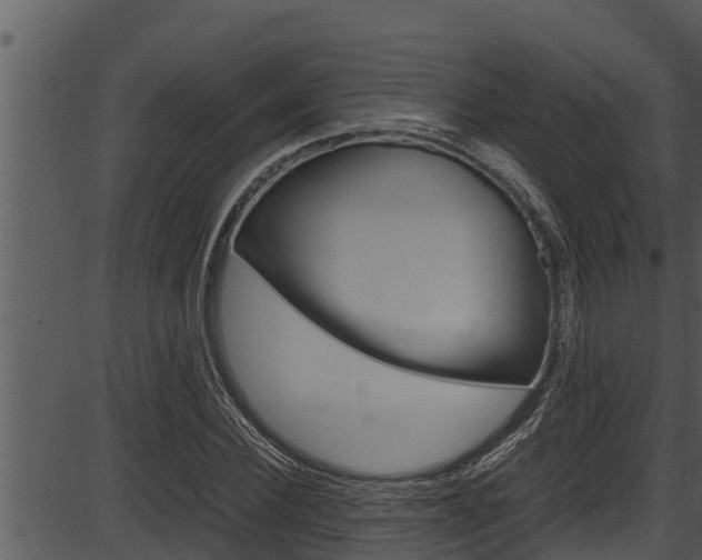 X0000087520924200704270815