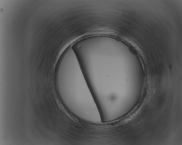 X0000087520933200704270815