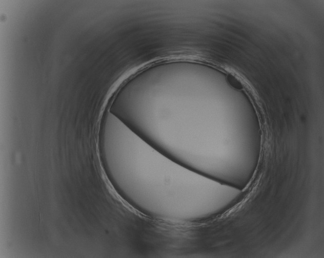 X0000087520941200704270815