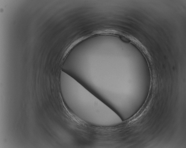 X0000087520945200704270815