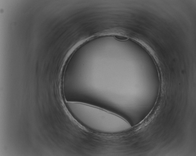 X0000087520949200704270815