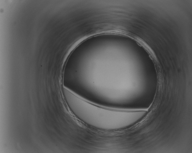 X0000087520956200704270815