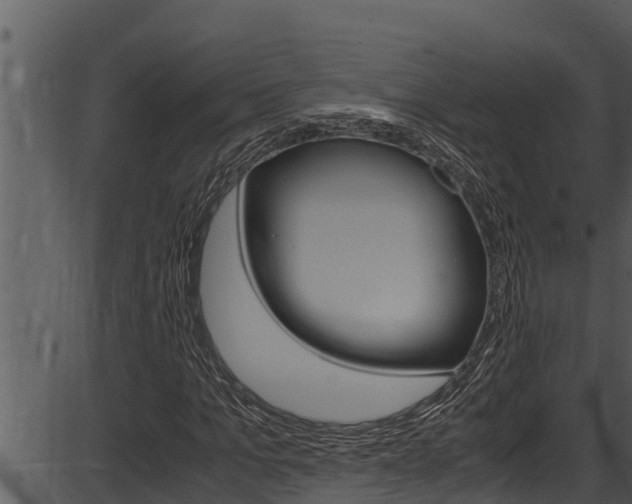X0000087520965200704270815