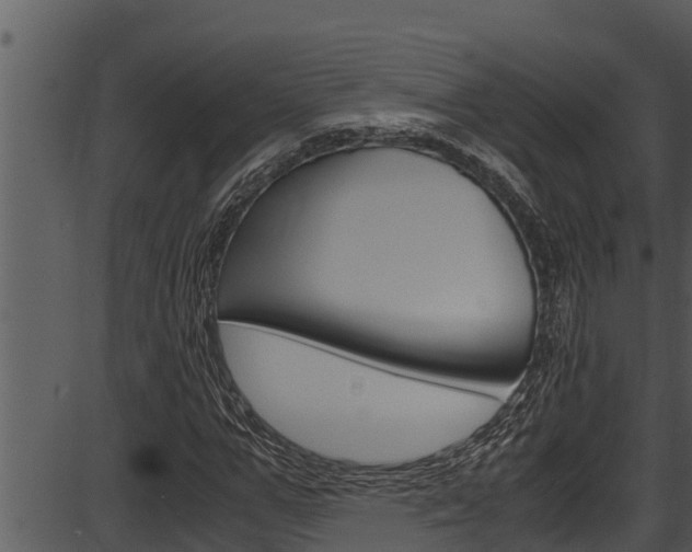X0000087520967200704270815