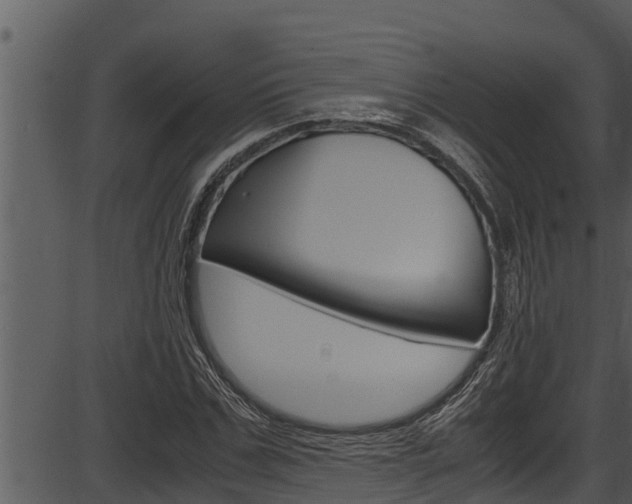 X0000087520971200704270815