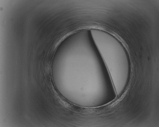X0000087520993200704270814