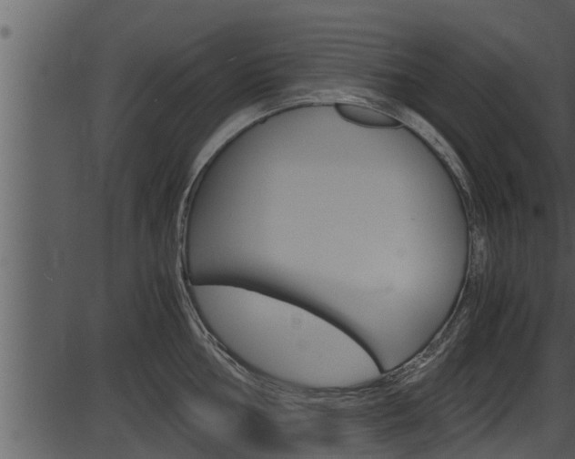 X0000087521002200704270814