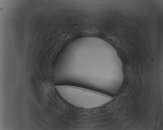 X0000087521009200704270813