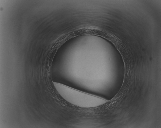 X0000087521014200704270813