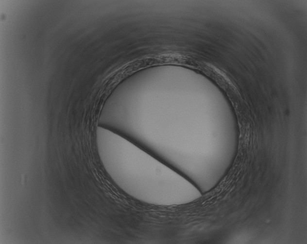 X0000087521015200704270813
