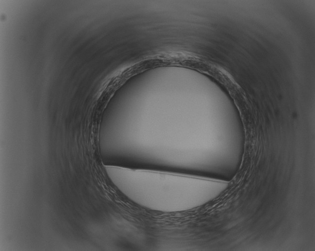 X0000087521016200704270813