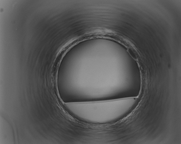 X0000087521018200704270813