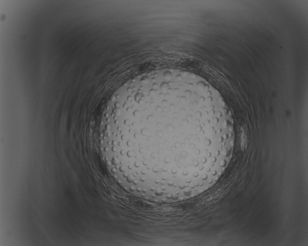 X0000087521059200704270813