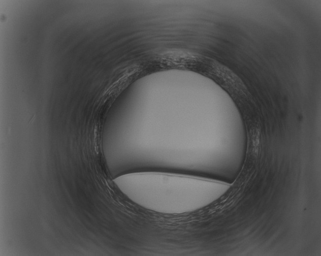 X0000087521060200704270813