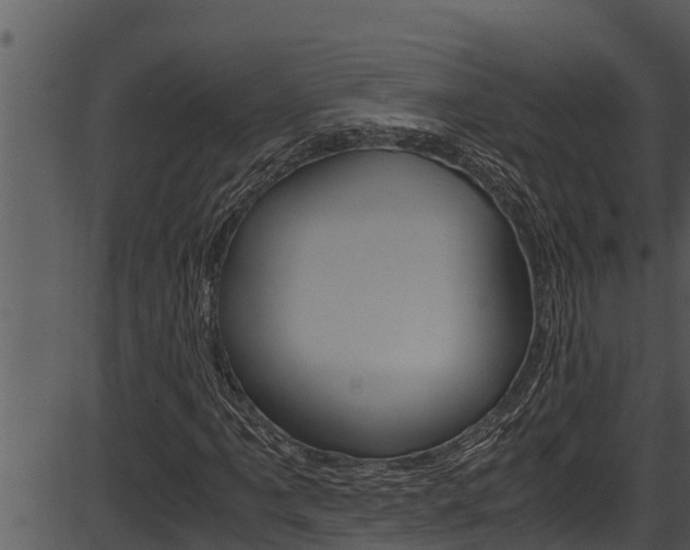 X0000087521061200704270813