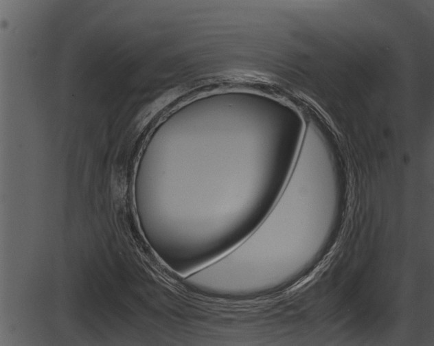 X0000087521065200704270813