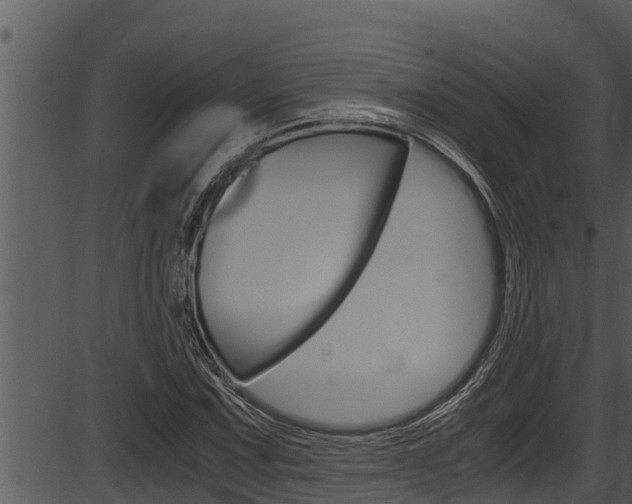 X0000087521067200704270813