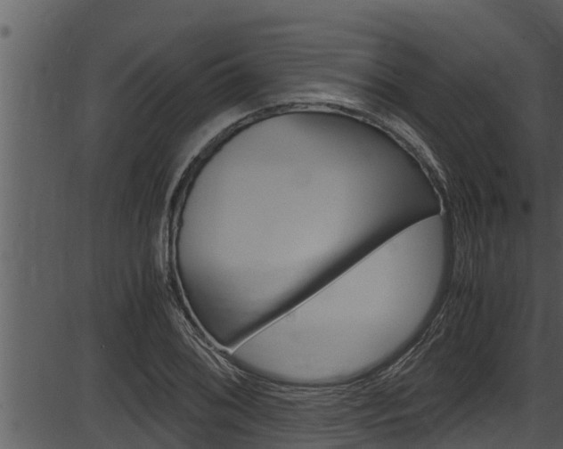 X0000087521076200704270813